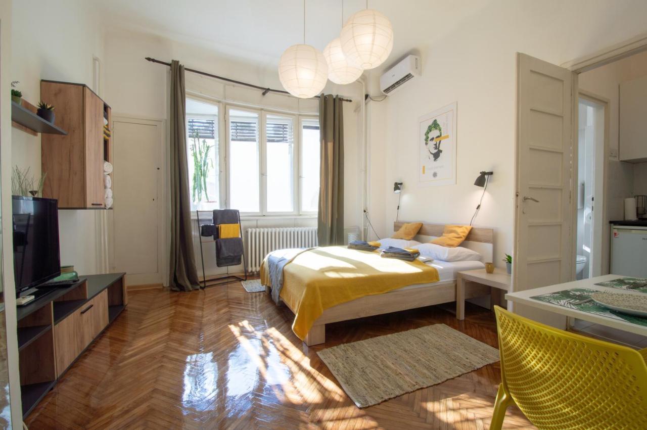 Pavla Papa Studio - Bright & Central Нови-Сад Экстерьер фото